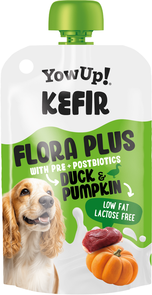 Yowup! Kefir Duck and Pumpkin (dog)