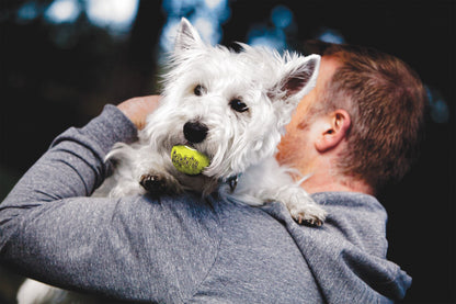 KONG Air Squeaker Tennis Ball XL 10,1 cm 1 pcs.