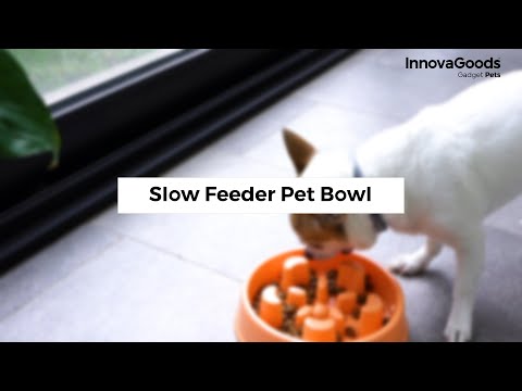Slow Eating Food Bowl for Pets Slowfi InnovaGoods